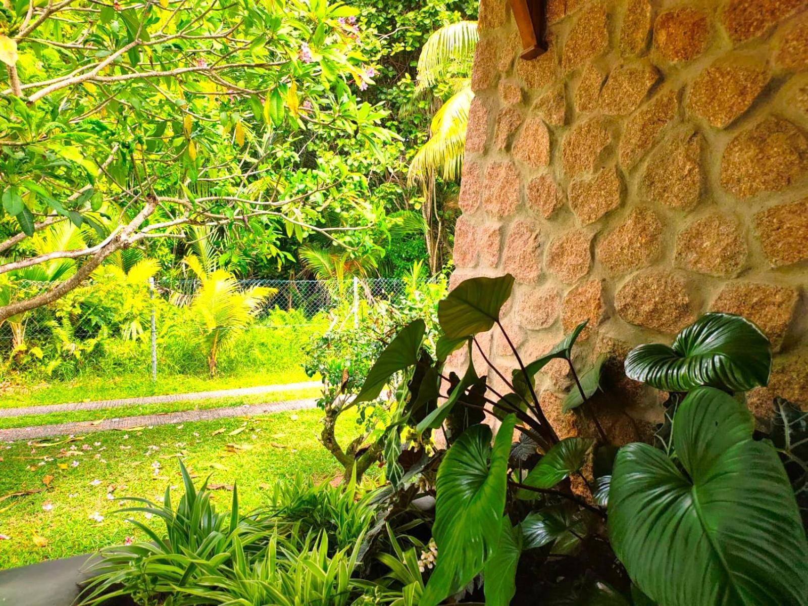 The Islander Hotel Grand Anse  Εξωτερικό φωτογραφία